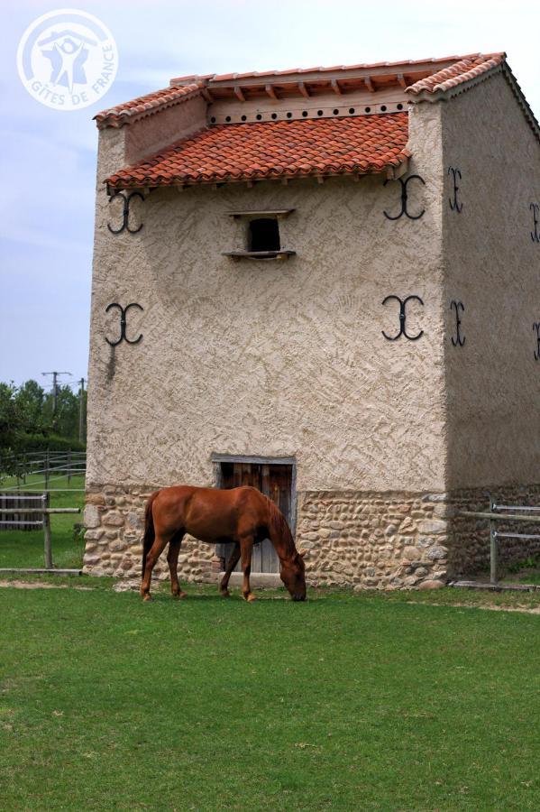 Chambres D'Hotes Ondine Et Igor Saint-Marcellin-en-Forez Exterior photo